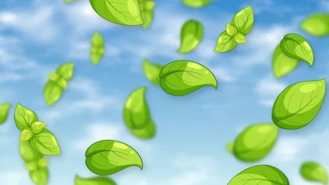 Animated Green Basil Leaves Falling Against a Bright Blue Sky Stock Footage 343830627