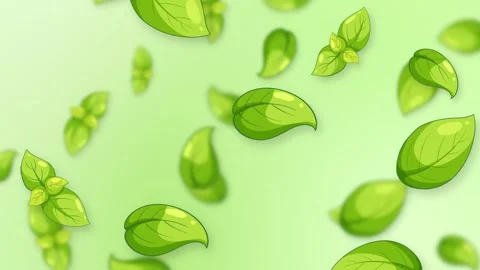 Animated Green Basil Leaves Falling Over Soft Gradient Background Stock Footage 344937631