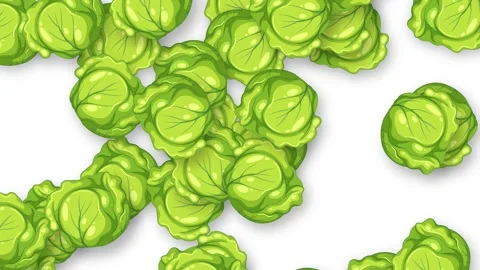 Animated Green Cabbage Heads Falling Downward on White Background Stock-Footage 341549232
