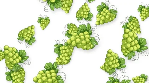 Animated Green Grape Bunches Falling Against a Solid White Background Stock Footage 345197894