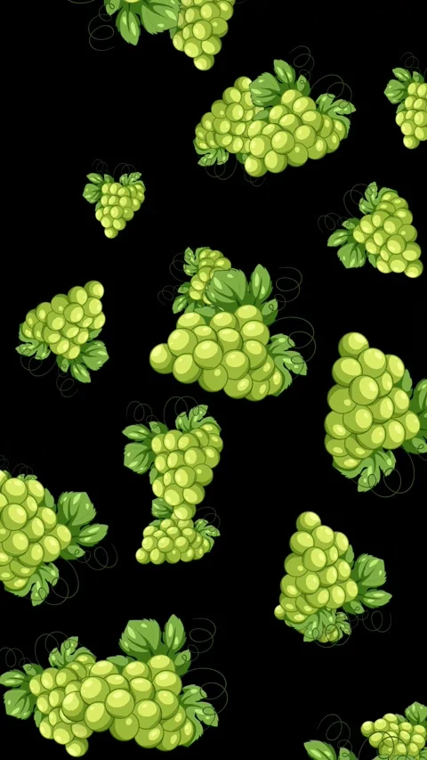 Animated Green Grape Bunches Falling Against a Solid Black Background Stock Footage 345304197