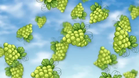 Animated Green Grapes Falling Against a Bright Blue Sky Background Stock Footage 344714751