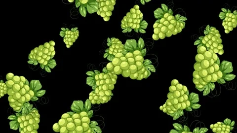 Animated Green Grapes Falling Against a Solid Black Background Stock Footage 345317041