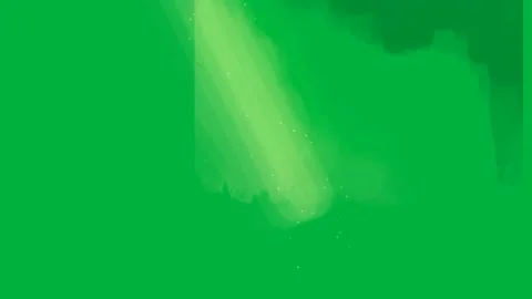 Animated green leaf floating on green screen ideal for nature animation Stock Footage 308866832