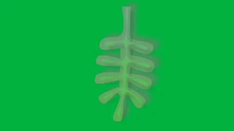 Animated green leaf on green screen ideal for eco nature or environmental Stock Footage 308867899