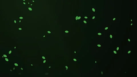 Animated Green Leaves Falling Background Stock Footage 344425866