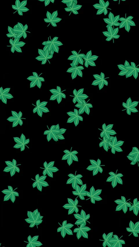 Animated Green Maple Leaves Falling on Black Background Stock Footage 345124986