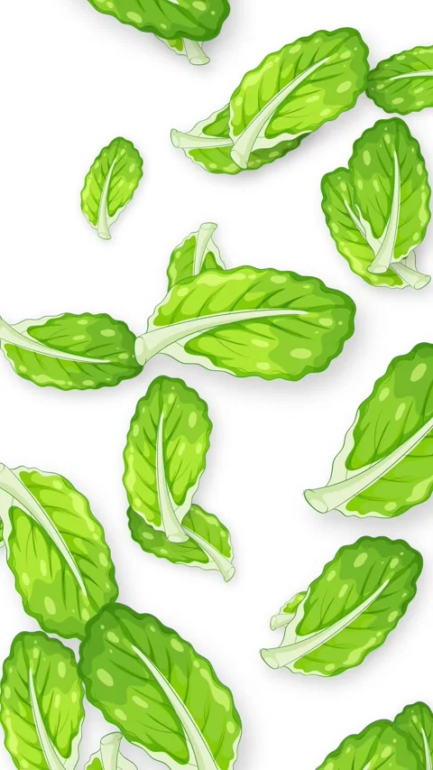 Animated Green Mint Leaves Falling Against a Plain White Background Stock Footage 344831592