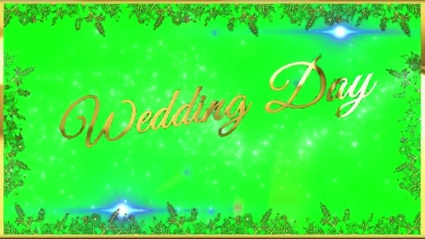 Animated Green Screen Background with Floral Border Frame and Glowing Light Stock Footage 339167461