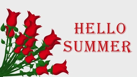 Animated greeting card with the text "Hello Summer" and with red roses. Stock Footage 108484502