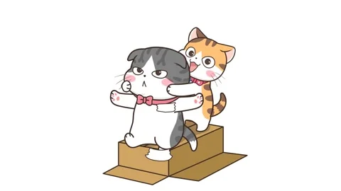 Animated Grey Cat Playing on a Box - White Background Stock Footage 282783410