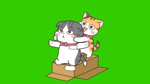 Animated Grey Cat Playing on a Box - Green Screen Stock Footage 282783423