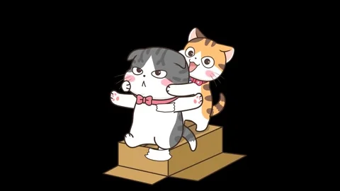 Animated Grey Cat Playing on a Box - Transparent Background Stock Footage 282783533