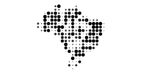 Animated Grid of Dots Shows Brazil Stock Footage 311590750