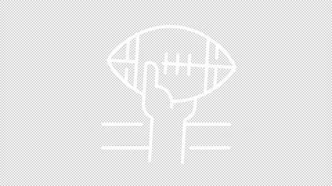 Animated gridiron white icons Stock Footage 276527429