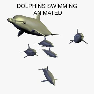 Animated Group of Dolphins Swimming 3D Model