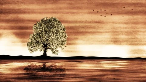 Animated Growing Tree in Nature Stock Footage 108716768