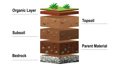 An Animated Guide to Soil Layers and The... | Stock Video | Pond5