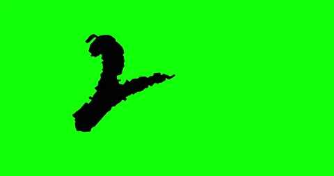 Animated Hand Drawn Calligraphy 2020 on Greenscreen 動画素材 119756262