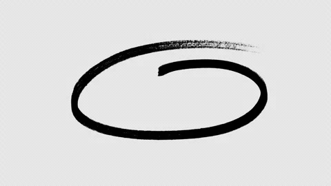Animated Hand Drawn Circle Highlight Oval Stroke Motion Graphics Overlay Stock-Footage 347360610