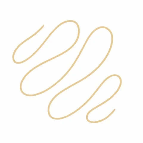 Animated hand-drawn doodle elements with transparent green screen background. Stock Footage 316474448