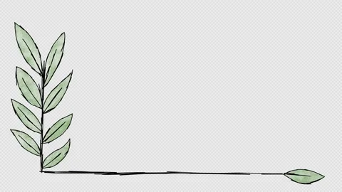 Animated hand drawn doodle frame. Video clip with alpha channel. Stock Footage 296119143