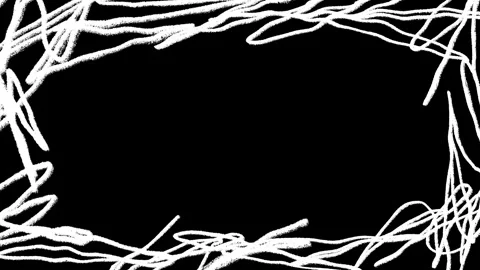 Animated Hand Drawn Scribble Border Frame with Rough Pencil Sketch Lines Stock Footage 340274129