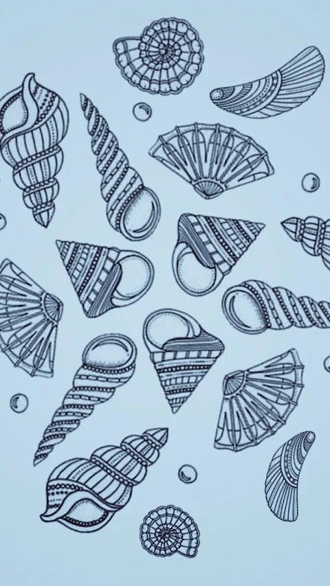 Animated hand drawn seashells illustration. Media. Vintage marine set pattern Stock Footage 278447370
