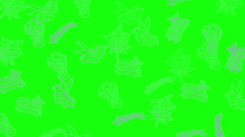 Animated Hand Drawn Vegetables and Bees Pattern Scrolling on Green Screen B.. Stock Footage 320475205