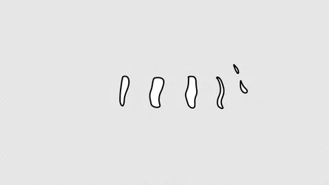 Animated hand drawn white doodle arrows. Video clip with alpha channel. Stock Footage 301646725