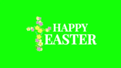 Animated Happy Easter Text with Floral Decoration on a Green Screen Background Stock Footage 339167375