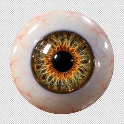 Animated Hazel Eye – Transparent Background 動画素材 346864159