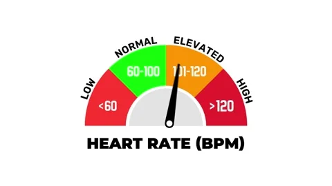 Animated Heart Rate BPM Level Gauge Indicator Low Normal Elevated High Scale Stock Footage 318826301