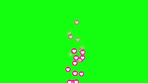 Animated Heart Reaction Bubbles Floating Up on Green Screen Vídeo Stock 337925061