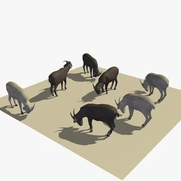Animated Herd of 7 Goats Eating Version 2 3D Model