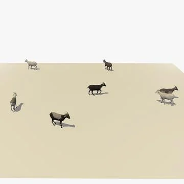 Animated Herd of 7 Goats Walking 3D Model
