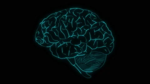 Animated Human Brain Anatomy in Black Background Stock Footage 183919184