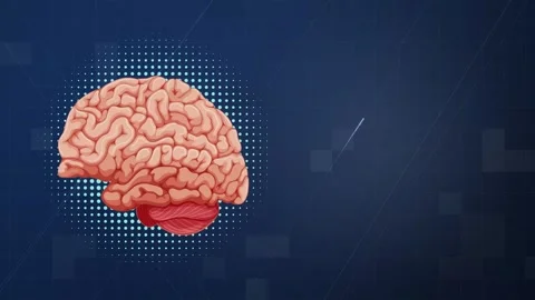 Animated Human Brain Graphic on Blue Digital Background Loop Stock Footage 346571236