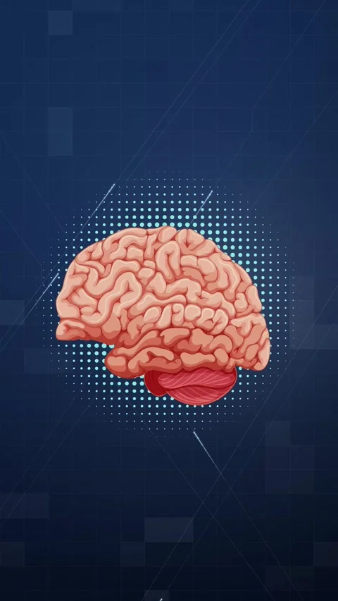 Animated Human Brain Model on Futuristic Blue Digital Background Loop Stock Footage 346197479