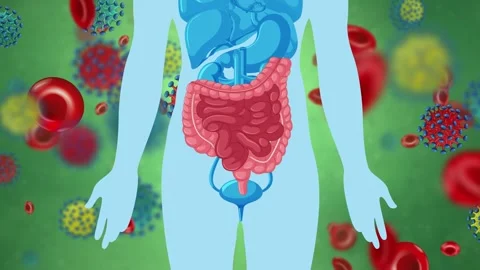 Animated Human Digestive System Silhouette with Microscopic Cells and Viruses Stock Footage 346115002