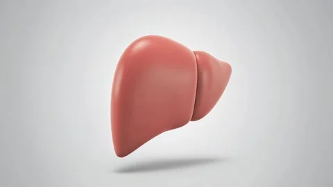 Animated human liver's structure and function in health and disease. Isolat.. Stock Footage 321605750