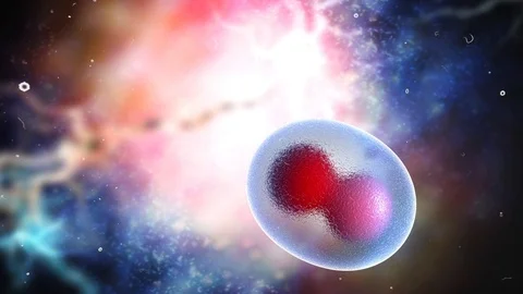 Animated human micro cell , close-up footage Stock Footage 126552140