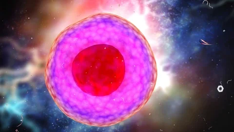 Animated human micro cell , close-up footage Stock Footage 126581174