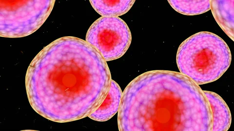 Animated human micro cell Stock Footage 46655761