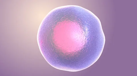 Animated human micro cell Stock Footage 46656896