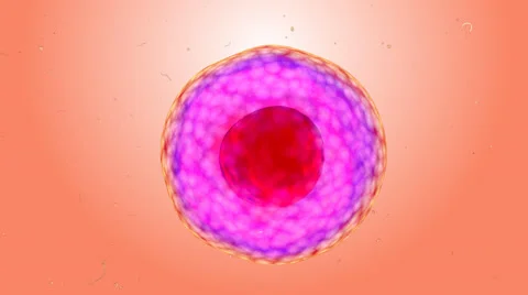 Animated human micro cell Видео 46659987