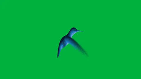 Animated hummingbird Video stock 245156766