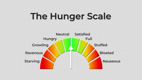 Animated hunger scale meter on gray background Stock Footage 313215844