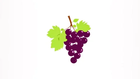 An animated icon of a bunch of grapes isolated on a white screen. Stock Footage 285079022