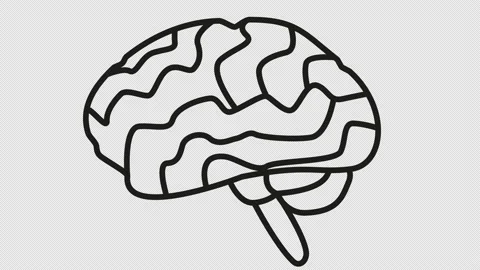 Animated icon of the human brain Video stock 148168257